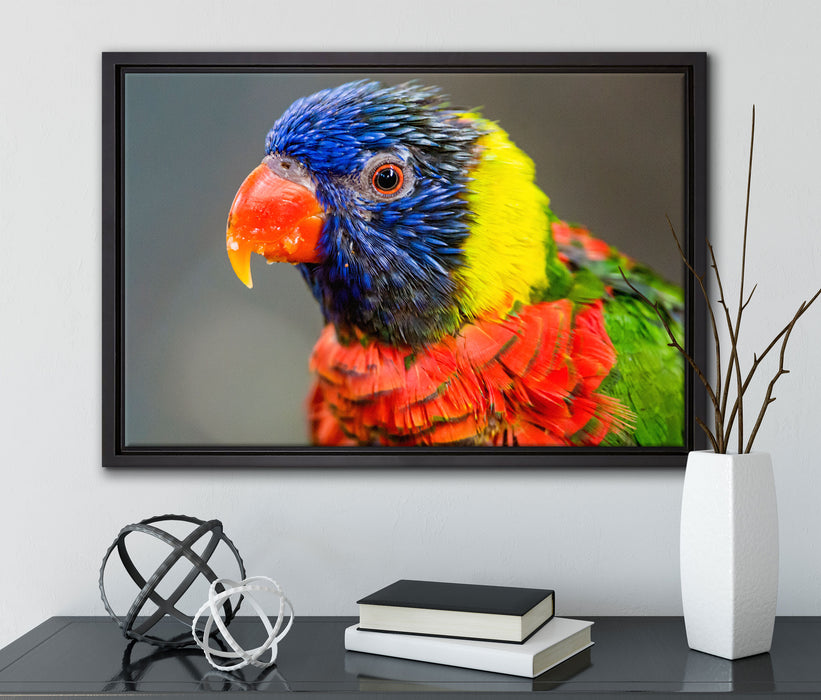 farbenfroher Papagei auf Leinwandbild gerahmt mit Kirschblüten