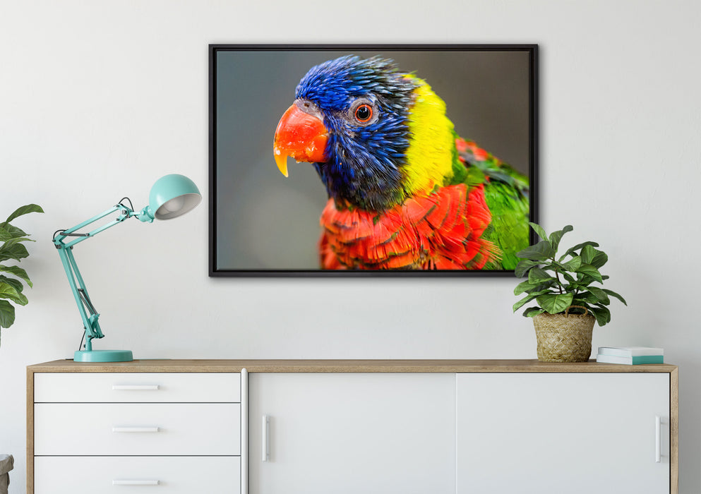 farbenfroher Papagei auf Leinwandbild gerahmt verschiedene Größen im Wohnzimmer
