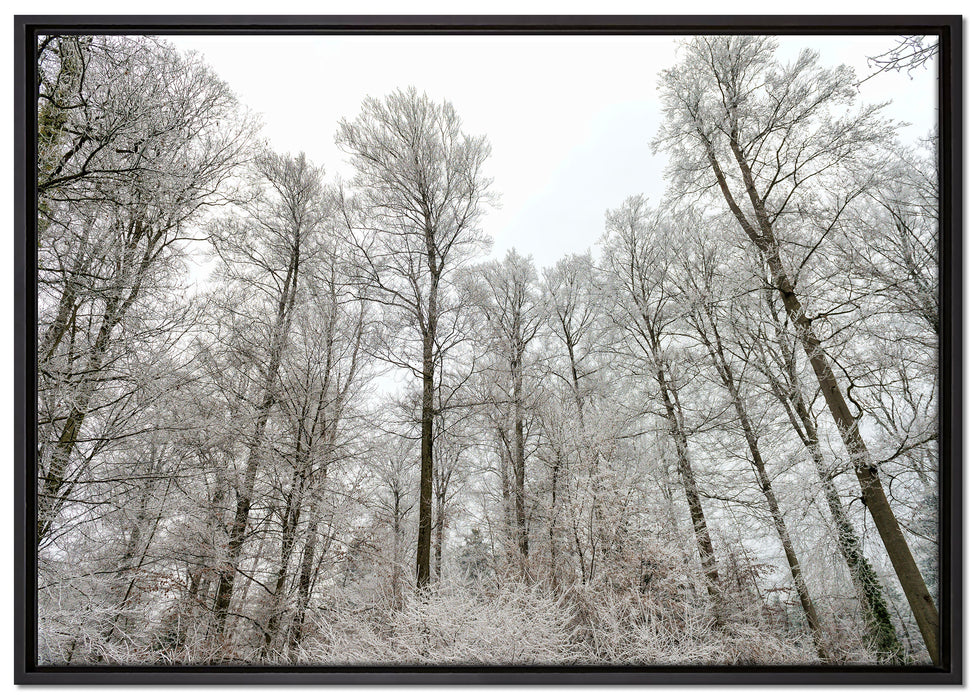 verschneiter Wald auf Leinwandbild gerahmt Größe 100x70