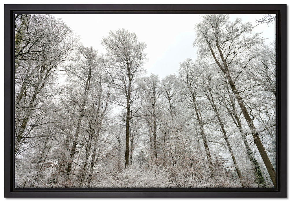verschneiter Wald auf Leinwandbild gerahmt Größe 60x40