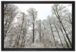 verschneiter Wald auf Leinwandbild gerahmt Größe 60x40