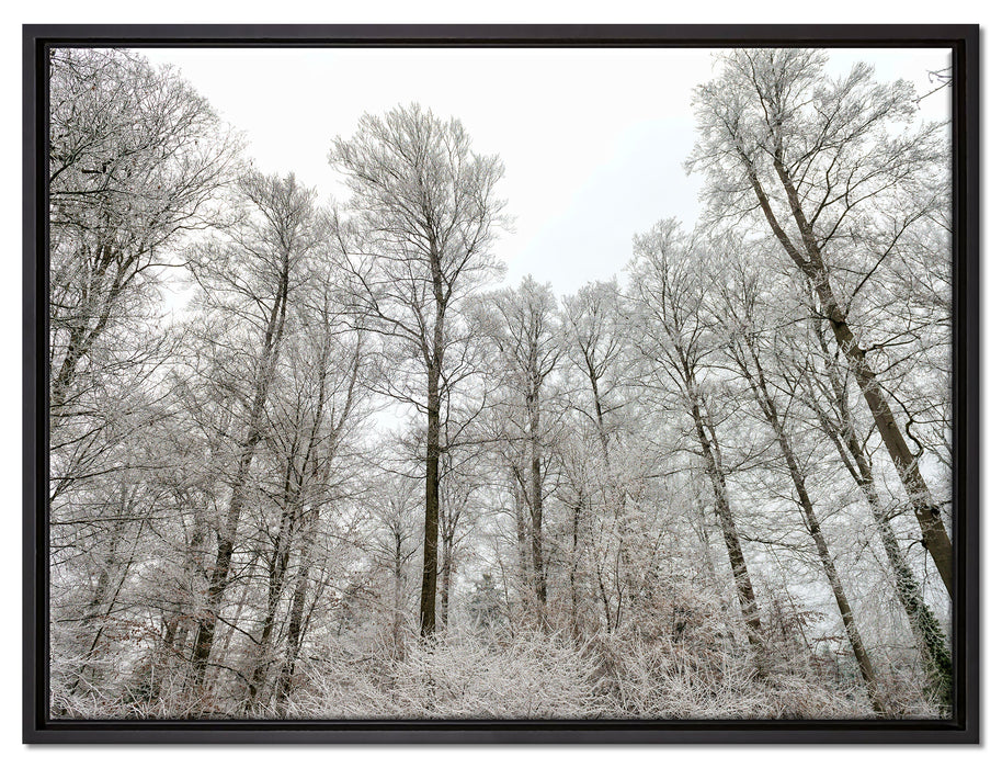 verschneiter Wald auf Leinwandbild gerahmt Größe 80x60