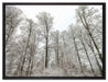 verschneiter Wald auf Leinwandbild gerahmt Größe 80x60