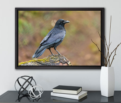 Krähe auf Baumstamm auf Leinwandbild gerahmt mit Kirschblüten