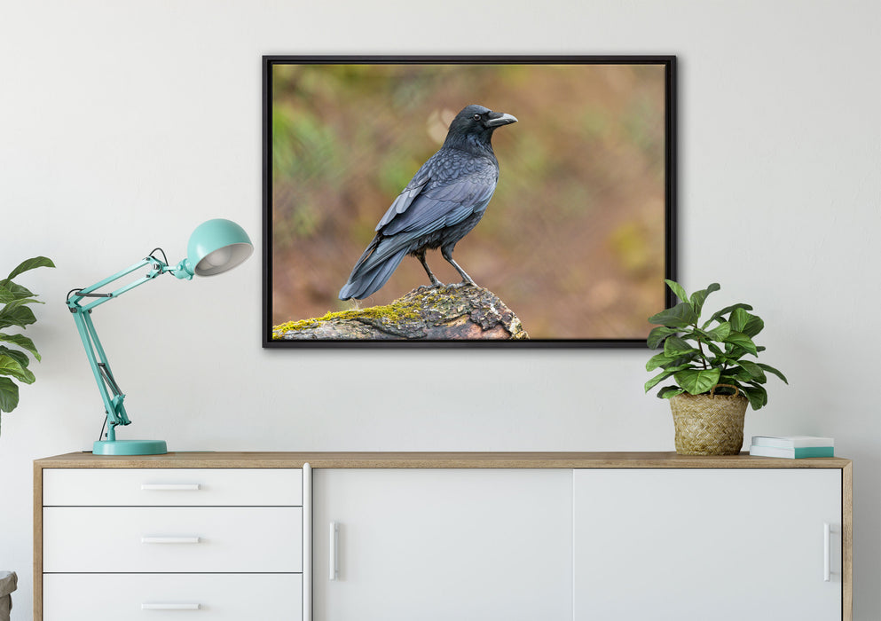 Krähe auf Baumstamm auf Leinwandbild gerahmt verschiedene Größen im Wohnzimmer