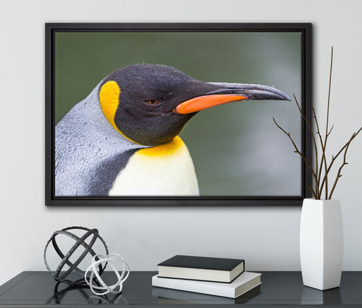 Kaiserpinguin im Profil auf Leinwandbild gerahmt mit Kirschblüten