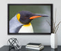 Kaiserpinguin im Profil auf Leinwandbild gerahmt mit Kirschblüten