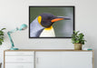 Kaiserpinguin im Profil auf Leinwandbild gerahmt verschiedene Größen im Wohnzimmer