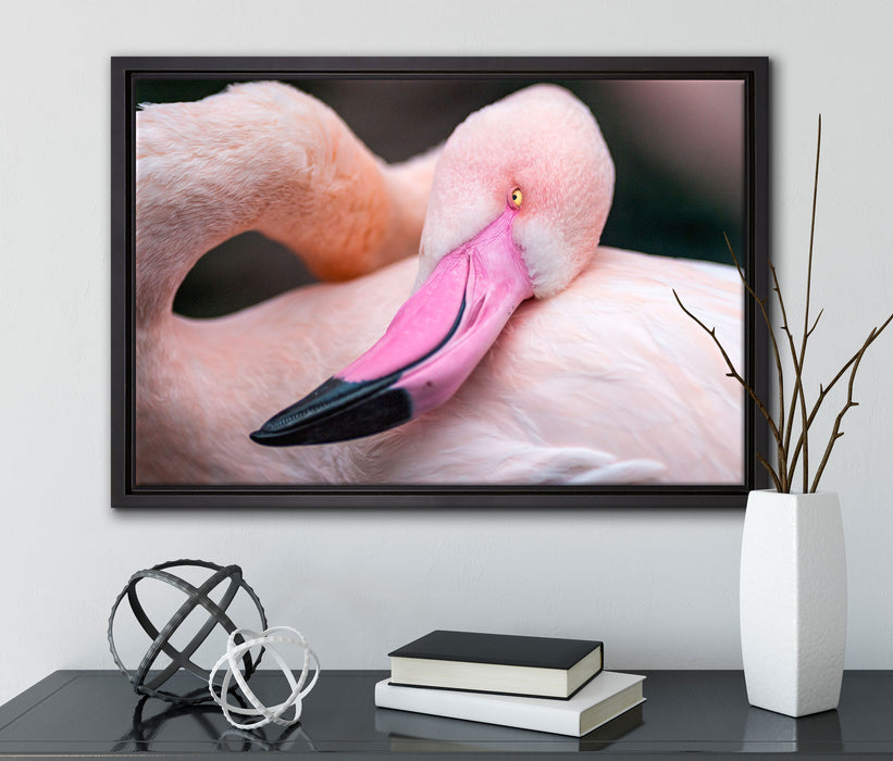 schöner Flamingo auf Leinwandbild gerahmt mit Kirschblüten