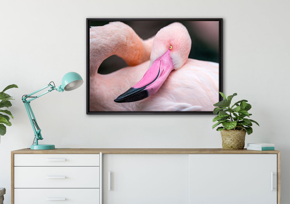 schöner Flamingo auf Leinwandbild gerahmt verschiedene Größen im Wohnzimmer