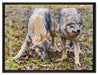 gefährliche Wölfe auf Leinwandbild gerahmt Größe 80x60