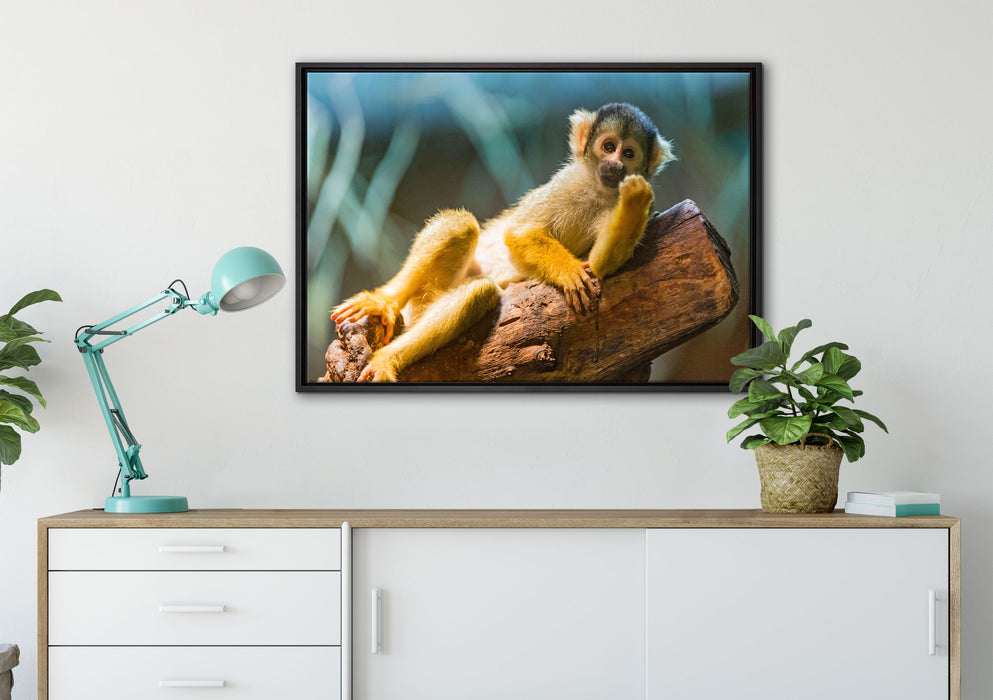 Kapuzineräffchen auf Baum auf Leinwandbild gerahmt verschiedene Größen im Wohnzimmer
