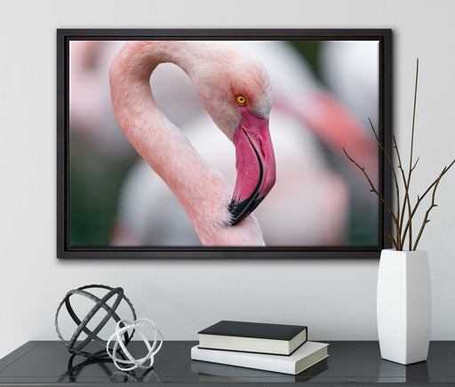 prächtiger Flamingo auf Leinwandbild gerahmt mit Kirschblüten