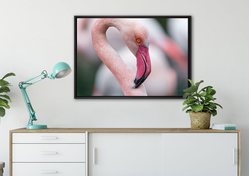 prächtiger Flamingo auf Leinwandbild gerahmt verschiedene Größen im Wohnzimmer