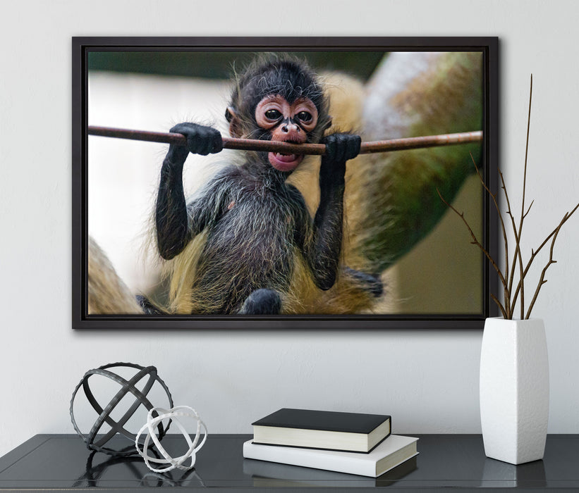 Orang-Utan-Junges isst auf Leinwandbild gerahmt mit Kirschblüten