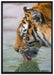 Tiger am Wasserloch auf Leinwandbild gerahmt Größe 100x70