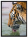 Tiger am Wasserloch auf Leinwandbild gerahmt Größe 80x60