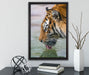 Tiger am Wasserloch auf Leinwandbild gerahmt mit Kirschblüten
