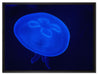 leuchtend blaue Qualle auf Leinwandbild gerahmt Größe 80x60