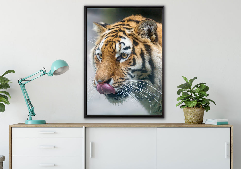 anmutiger Tiger auf Leinwandbild gerahmt verschiedene Größen im Wohnzimmer