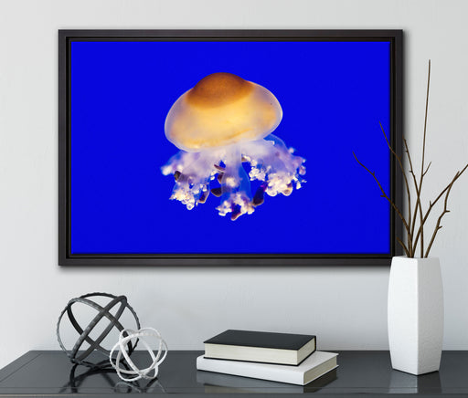 kleine Qualle auf Leinwandbild gerahmt mit Kirschblüten