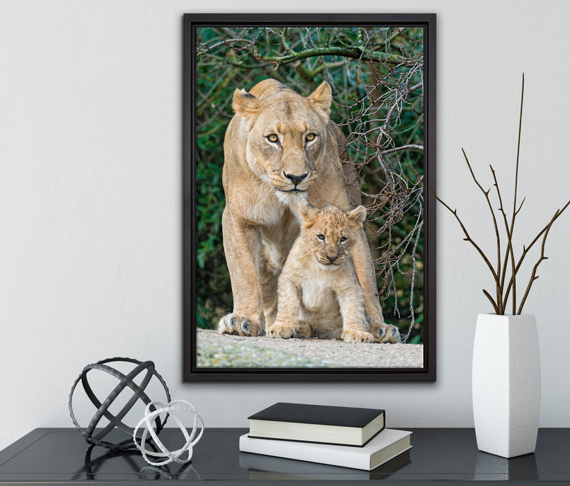 Löwin mit Jungtier auf Leinwandbild gerahmt mit Kirschblüten