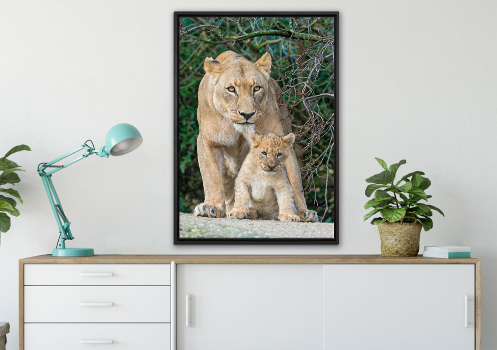 Löwin mit Jungtier auf Leinwandbild gerahmt verschiedene Größen im Wohnzimmer