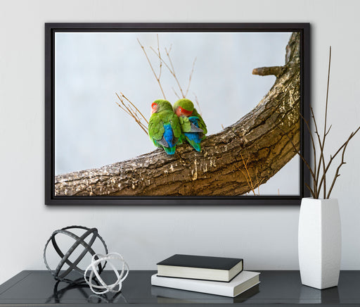 Rosenköpfchenpaar auf Leinwandbild gerahmt mit Kirschblüten