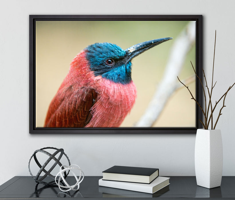 kleiner tropischer Vogel auf Leinwandbild gerahmt mit Kirschblüten