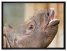 kleines Nashorn auf Leinwandbild gerahmt Größe 80x60