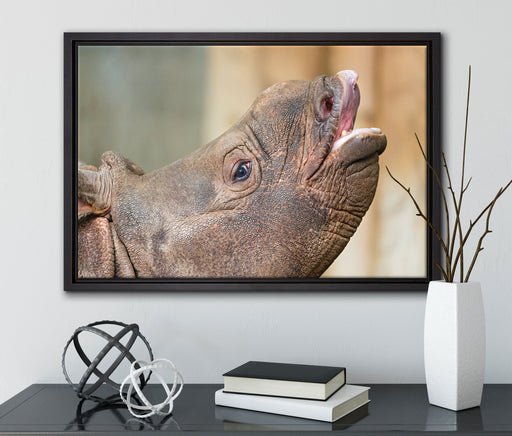 kleines Nashorn auf Leinwandbild gerahmt mit Kirschblüten