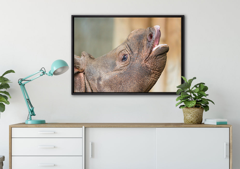kleines Nashorn auf Leinwandbild gerahmt verschiedene Größen im Wohnzimmer