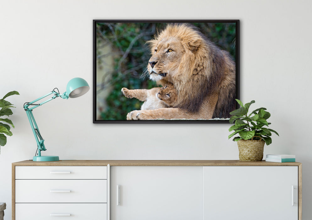 liebevoller Löwe mit Jungtier auf Leinwandbild gerahmt verschiedene Größen im Wohnzimmer