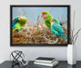 Papageien im Nest auf Leinwandbild gerahmt mit Kirschblüten