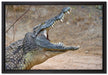 gewaltiges Krokodil auf Leinwandbild gerahmt Größe 60x40