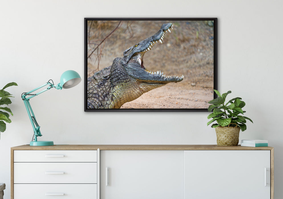 gewaltiges Krokodil auf Leinwandbild gerahmt verschiedene Größen im Wohnzimmer