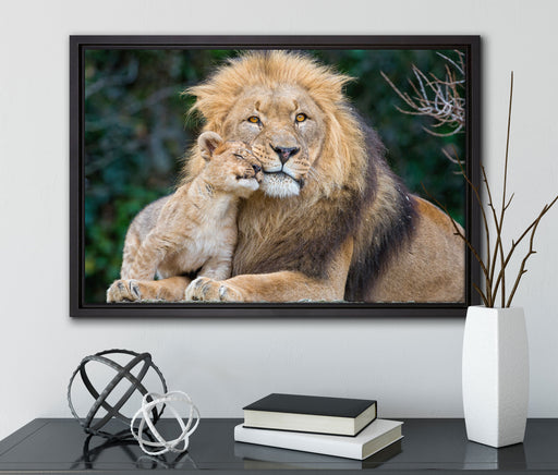 schöner Löwe mit Jungtier auf Leinwandbild gerahmt mit Kirschblüten