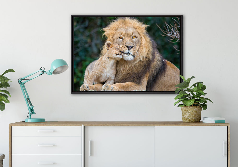 schöner Löwe mit Jungtier auf Leinwandbild gerahmt verschiedene Größen im Wohnzimmer
