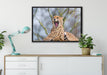 Gepard gähnt auf Leinwandbild gerahmt verschiedene Größen im Wohnzimmer