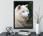 prächtiger Polarwolf auf Leinwandbild gerahmt mit Kirschblüten