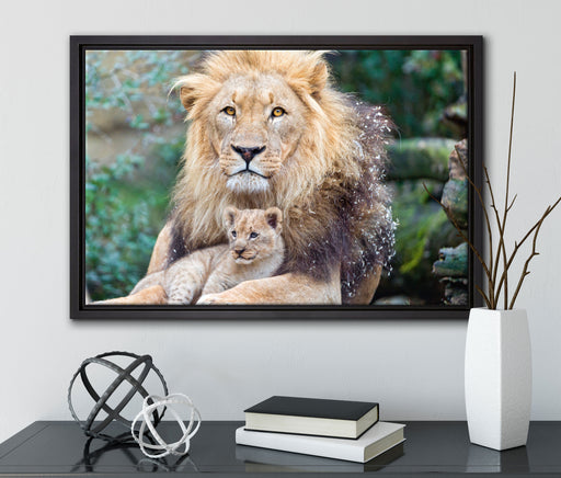Löwe kuschelt mit Jungtier auf Leinwandbild gerahmt mit Kirschblüten