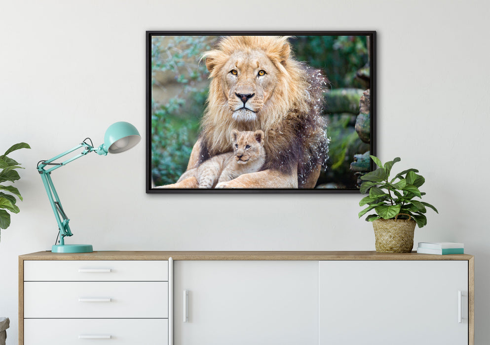 Löwe kuschelt mit Jungtier auf Leinwandbild gerahmt verschiedene Größen im Wohnzimmer