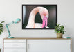 Flamingo beim Putzen auf Leinwandbild gerahmt verschiedene Größen im Wohnzimmer