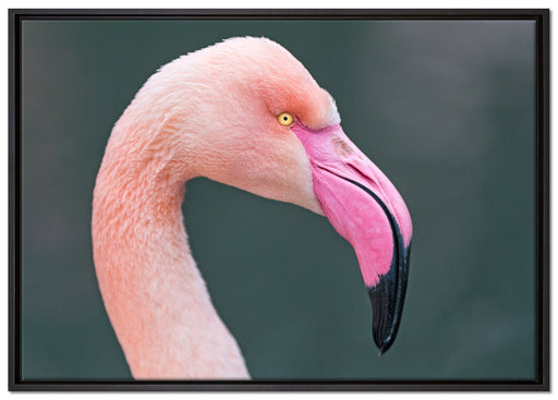 Flamingo im Seitenprofil auf Leinwandbild gerahmt Größe 100x70