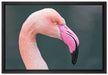 Flamingo im Seitenprofil auf Leinwandbild gerahmt Größe 60x40