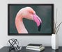 Flamingo im Seitenprofil auf Leinwandbild gerahmt mit Kirschblüten