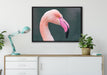 Flamingo im Seitenprofil auf Leinwandbild gerahmt verschiedene Größen im Wohnzimmer