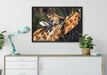 fressende Giraffe auf Leinwandbild gerahmt verschiedene Größen im Wohnzimmer