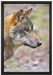 anmutiger Wolf auf Leinwandbild gerahmt Größe 60x40