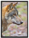 anmutiger Wolf auf Leinwandbild gerahmt Größe 80x60